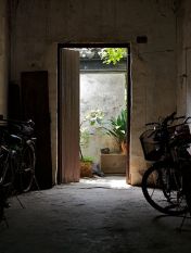 Image by: Kevin McGill