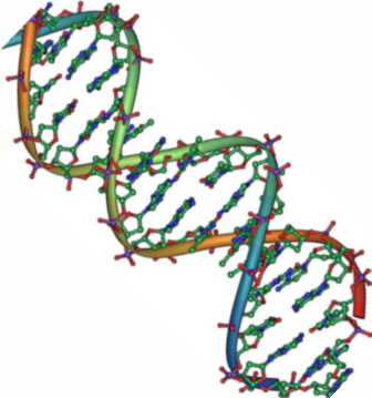 DNA_double_helix_45